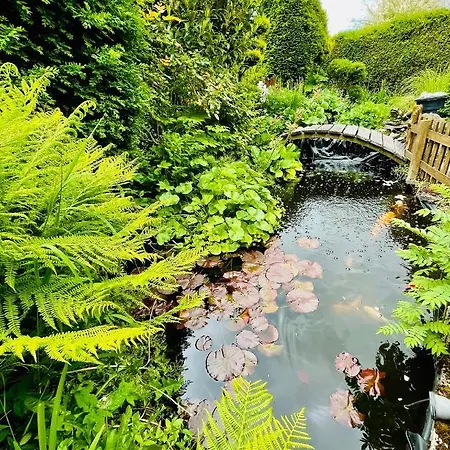 Boller Ii Apartment Marktredwitz